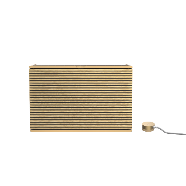 Beosound Level